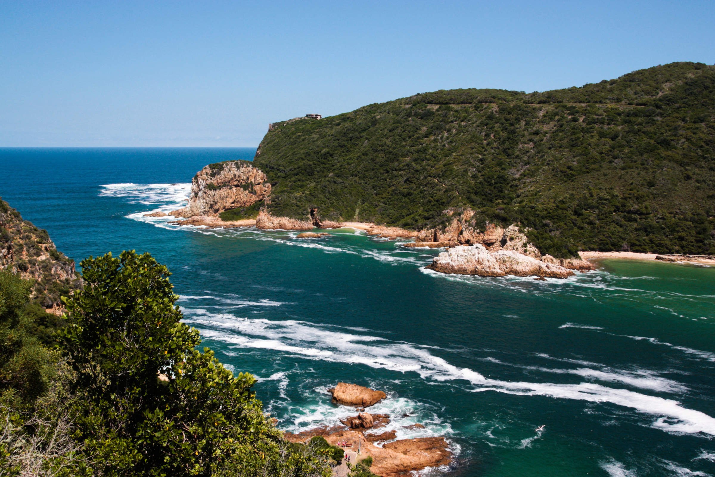 knysna (2).webp